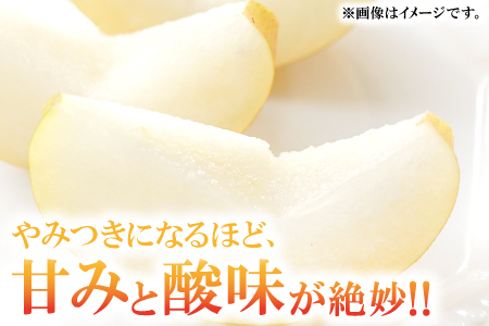 A-934 【先行予約】赤梨 5㎏(幸水梨・豊水梨・新高梨・新興梨)【梨 先行予約 季節限定 赤梨 5kg 10玉～16玉位 なし 幸水梨 豊水梨 新高梨 新興梨 期間限定 果物 フルーツ くだもの 