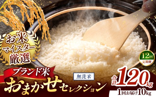 【 令和7年産 】おまかせ セレクション 【定期便12回】熊本県産 無洗米  ＜ひのひかり / 森のくまさん / くまさんの輝き ＞ 10kg  | 単一銘柄 米 単一米 お米 こめ 小分け 人気 コメ お米 5kg 10kg 15kg 20kg 25kg 30kg 定期便 3回 6回 12回 ブランド米 菊池川流域 家庭用 送料無料 熊本 くまもと 熊本県 和水 和水町 人気 ごはん