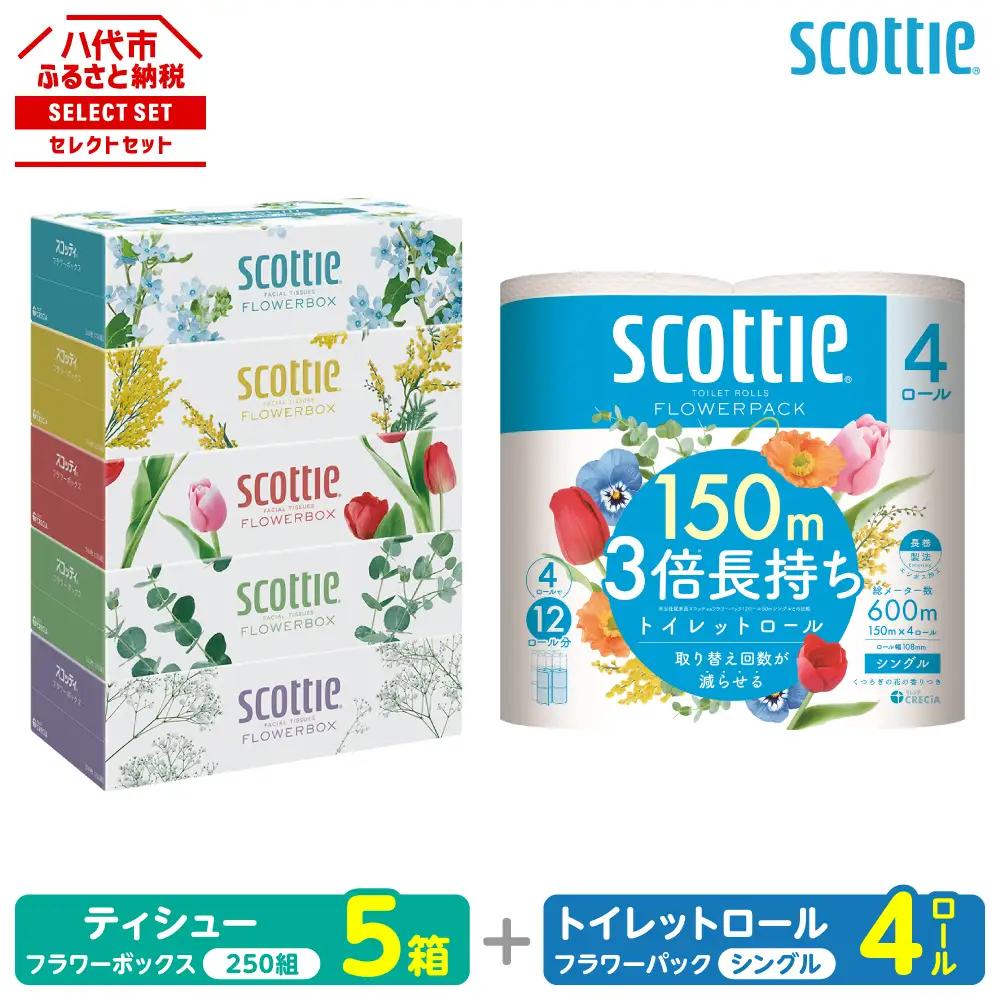 トイレットペーパー シングル 4ロール ＋ ティッシュ 5箱 セット スコッティ ティッシュ トイレット