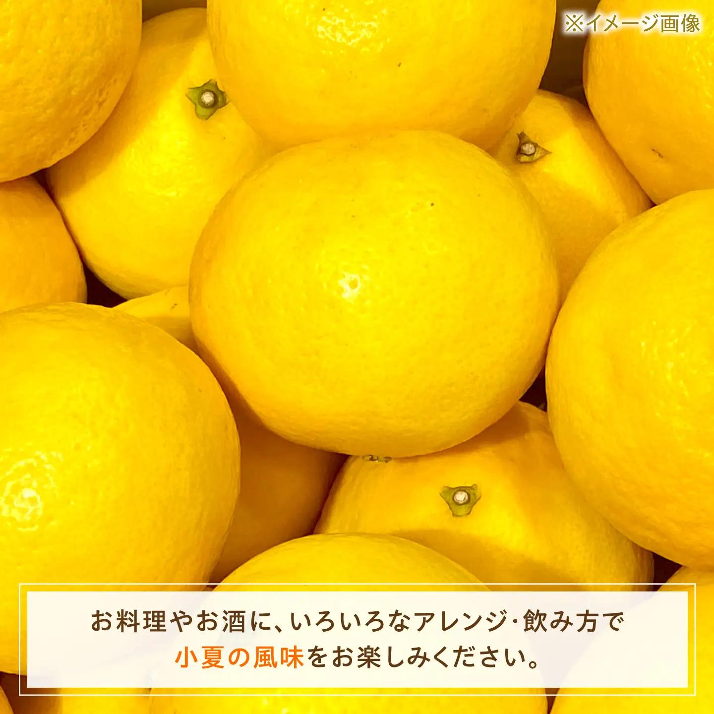 高知県 土佐市産 KONATSU JUICE／Drink 2種セット 高知県 土佐市【川野果樹園】 [BQCB004]
