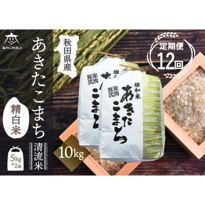 ふるさと納税 秋田市 《定期便12ヶ月》秋田市雄和産あきたこまち 清流米 10kg|15_akn-dd1012h
