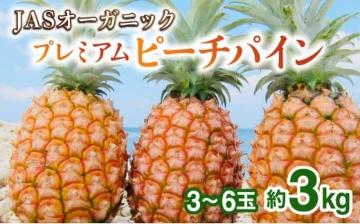 【JASオーガニック】 プレミアムピーチパイン 約3kg 3～6玉　023-a012_2026