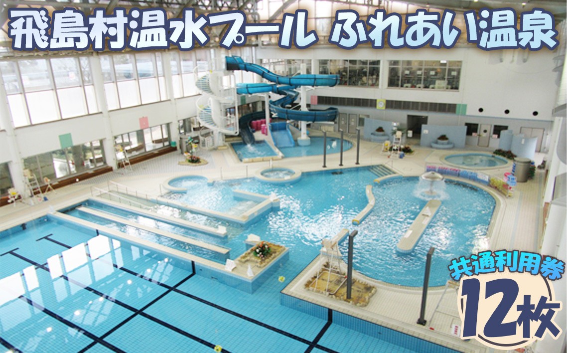 
                  No.013 飛島村温水プール・ふれあい温泉共通利用券【12枚】 ／ チケット 体力づくり 入浴 愛知県　飛島村 ふるさと納税 温泉 プール チケット 利用券 体験 旅行 日帰り 施設入場 ふれあい温泉 飛島プール ゆったり リラックス 休日 休養 健康 嬉しい ギフト 贈り物 家族 おすすめ 体感
                