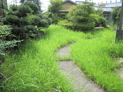 便利屋PAL 利用券 15,000円分[ 草刈り 木伐採 空き家管理 お墓清掃 引越し手伝い ] チケット サービス 代行 代行サービス 家事代行サービス 