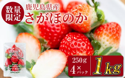 
鹿児島県産いちご！愛情たっぷりさがほのか 計1kg(250g×4パック) a5-067
