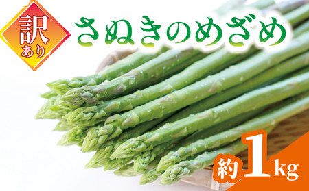 【訳ありアスパラ】 さぬきのめざめ 1kg アスパラ 配送：6月中旬～10月中旬