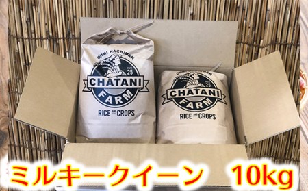 【PRキャンペーン対象】【新米】【7年産】近江米　ミルキークイーン 白米【10kg（5kg×2袋）】【V010W】（米 コメ こめ 白米 はくまい ごはん ご飯 精米 みるきーくいーん ミルキークイーン  近江米 10キロ 10kg 5キロ 5kg）