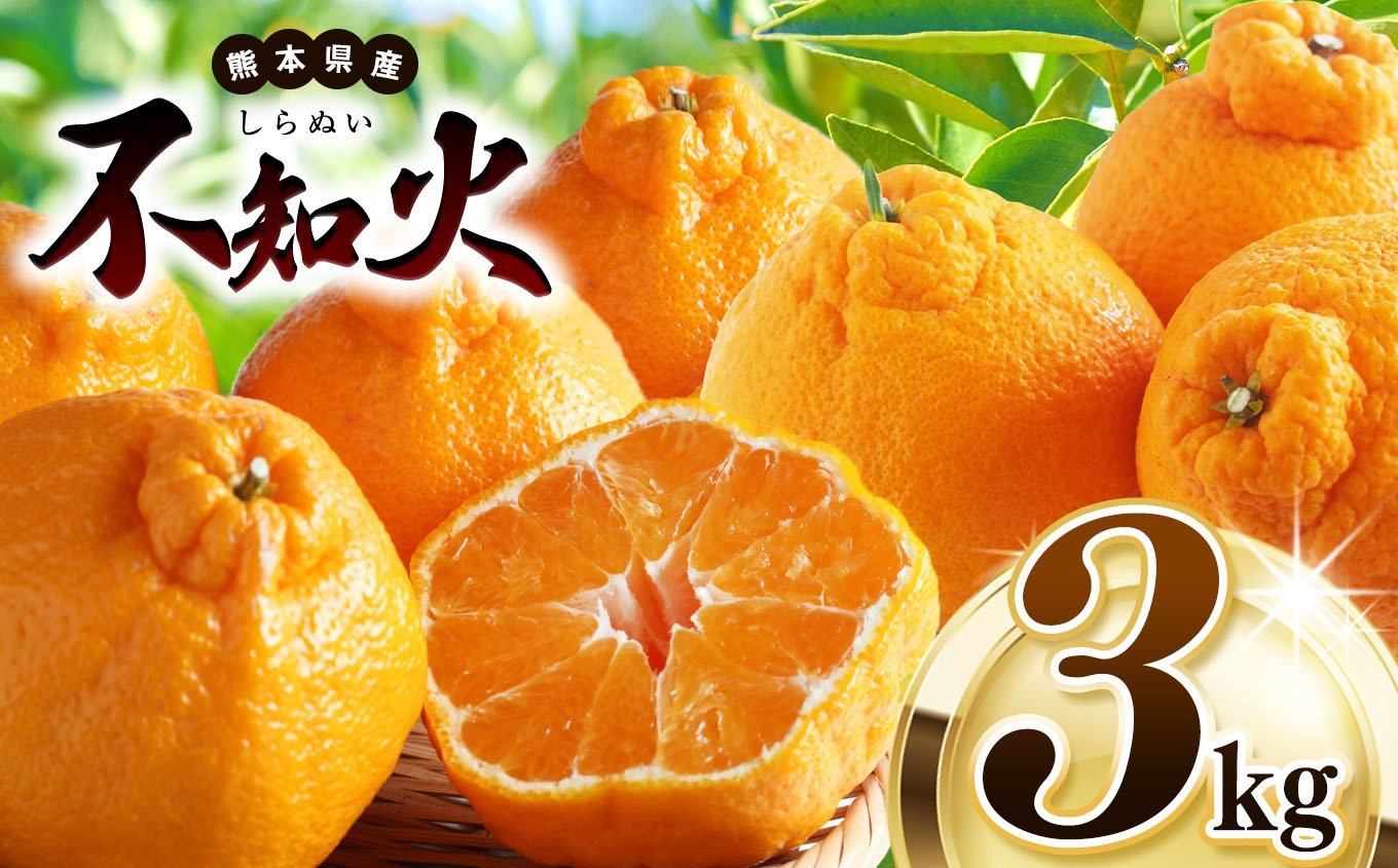 
            【 先行予約 】 不知火 約 3kg 池田ファーム | 柑橘 みかん フルーツ 和製 果物 熊本県産 熊本県 熊本 くまもと 和水町 なごみまち なごみ ミカン 柑橘類 果物 フルーツ 
          