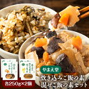 【ふるさと納税】炊き込みご飯の素 混ぜご飯の素セット 各250g×2個 有限会社 やまえ堂 《30日以内に出荷予定(土日祝除く)》山の幸 たけのこ 竹の子 筍 しいたけ きくらげ わらび 炊き込みご飯 混ぜ込みご飯 送料無料