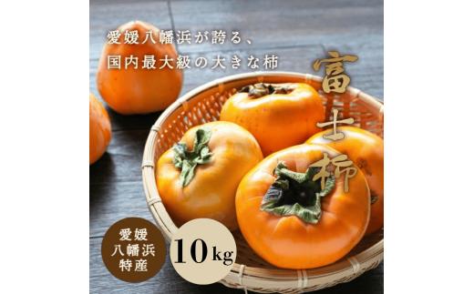 《八幡浜特産 国内最大級の 柿》 富士柿 10kg＜D20-2＞【1094599】 YWTI002