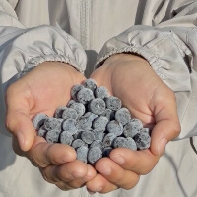 【ふるさと納税】冷凍ブルーベリー 1kg【配送不可地域：離島】【1707397】