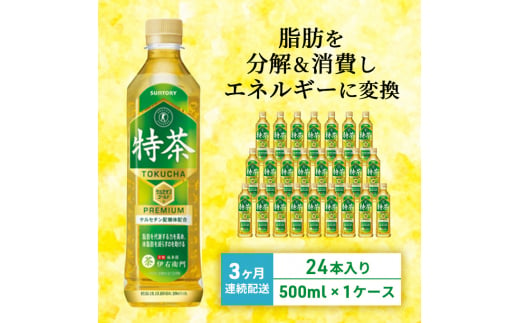 
お茶 定期便 3ヶ月 サントリー 緑茶 伊右衛門 特茶（特定保健用食品）500ml×24本 ペットボトル
