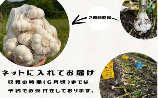 秘境の地からお届けする あゆみファームの乾燥にんにく １kg【2025年6月中旬以降順次発送】/ にんにく ニンニク 訳あり 予約受付 ガーリック 和歌山【aym007】