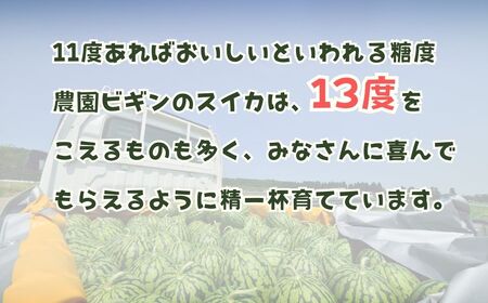 【先行予約】大玉スイカ「祭りばやし777」1玉＆メロン「オルフェ」×2玉 セット 農園ビギン 【0002-0331-01】