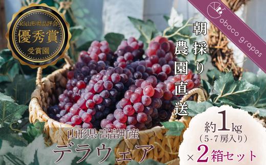 ≪2025年先行予約≫贈答用 山形県 高畠町産 朝取り 農園直送 デラウェア 約2.0kg（10～14 房）個包装 2025年8月上旬から順次発送 個別包装 種無し 食べやすい ぶどう ブドウ 葡萄 くだもの 果物 フルーツ 夏果実 産地直送 農家直送 数量限定  F21B-309