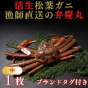 【ふるさと納税】1245 松葉ガニ活生「中1枚」ブランドタグ付き(弁慶丸)【到着日指定不可】　鳥取　送料無料