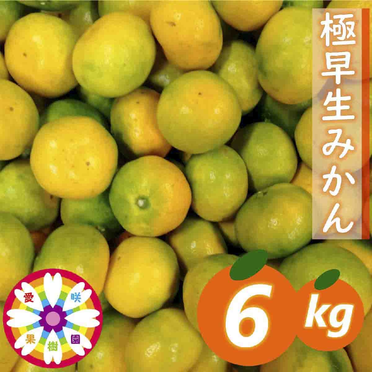 
                  【先行受付】「 極早生 みかん 」約6kg《 愛咲果樹園 》【C71-2】_ みかん ミカン 柑橘 くだもの 果物 フルーツ 極早生 早生 温州 甘い 常温 デザート 産地直送 産直 愛媛 【1326990】 YWTS002
                