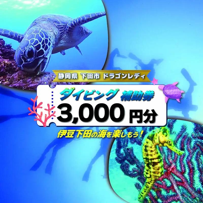 ダイビング 補助券 3,000円分 ダイビング 伊豆 下田