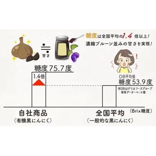 【 にんにく 】 黒にんにくの粉末 