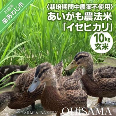 ふるさと納税 南あわじ市 令和7年産　イセヒカリ　10kg(5kg×2)　玄米〈栽培期間中農薬不使用　あいがも農法米〉