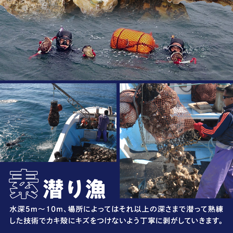 延岡産天然岩牡蠣（生食用）3kg（大）（2025年4月から発送開始） N036-YZA527_イメージ3