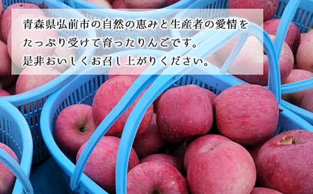 【12月発送】訳あり 家庭用 ちとせ村 葉とらずサンふじ 約5kg【弘前市産・青森りんご】