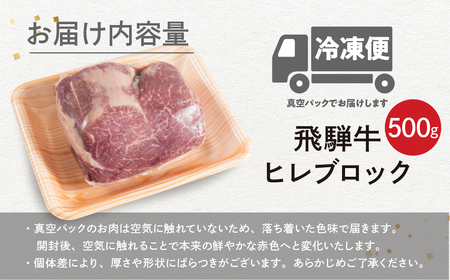 【2026年3月発送】飛騨牛 ヒレブロック500g ヒレ肉