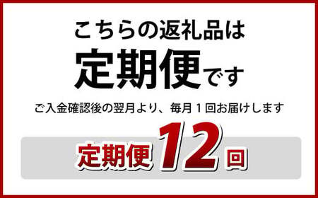 【全12回定期便】《具材付》長崎冷凍皿うどん (4食) 簡単調理 麺 麺類 揚麺 長崎