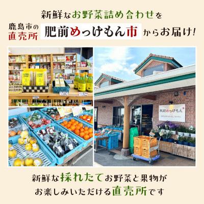 ふるさと納税 鹿島市 【毎月定期便】肥前の国のお野菜詰め合わせセット(鹿島市)全6回 |  | 01