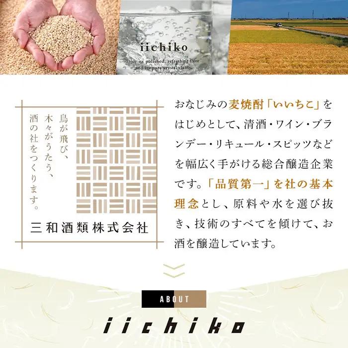 いいちこ ビン 25度(1800ml×2本)酒 お酒 焼酎 麦焼酎 アルコール 三和酒類【114002000】【一般社団法人　地域商社USA】