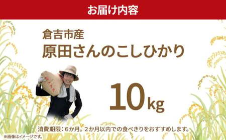 【期間・在庫限定】原田さんのこしひかり 10kg 数量限定 精米 お米 米 こめ コメ 白米 こしひかり コシヒカリ ブランド米 ごはん ゴハン ご飯 米 米 米 米 米 米