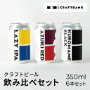 【ふるさと納税】 CRAFT BANK　クラフトビール3種飲み比べ　350ml×6本セット ふるさと納税 ビール 丹波栗 小豆 丹波黒豆 地ビール 飲み比べ CRAFT BANK クラフトビール 苦味 黒ビール 甘味 京都府 福知山市 FCCE002