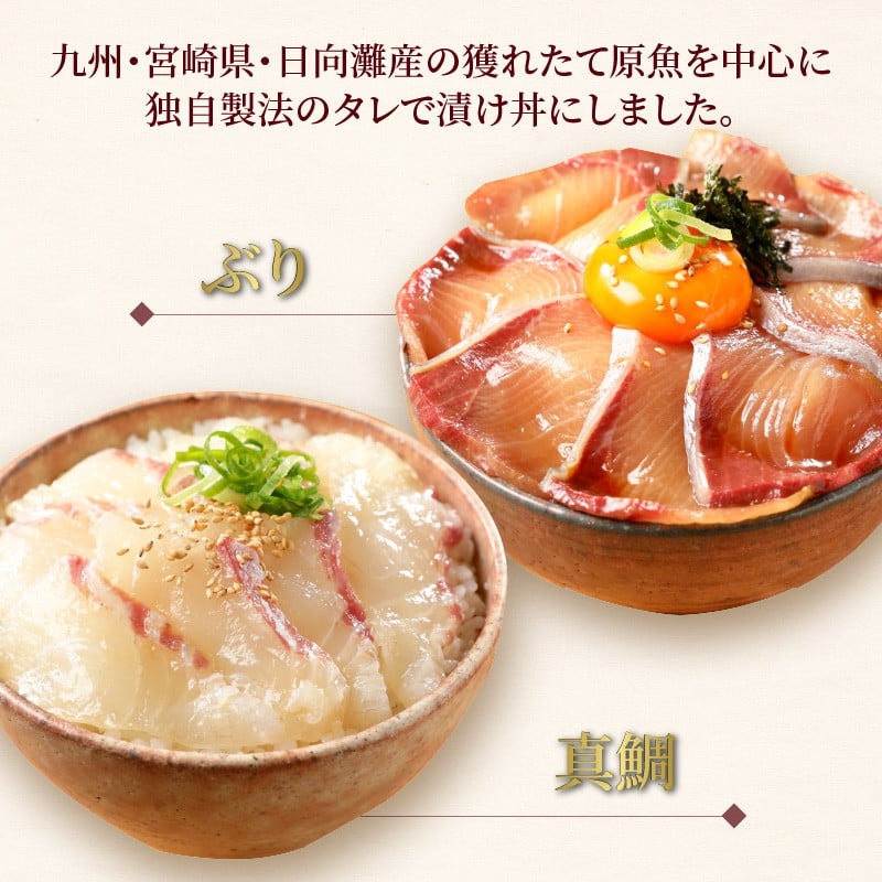 【冷凍】日向灘ぶりと真鯛の漬け丼2種食べ比べセット100g×8袋 N019-YA948