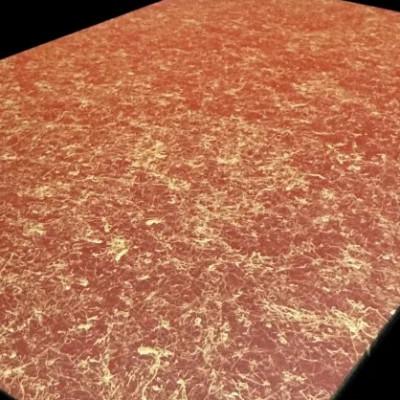 ふるさと納税 高野町 ガラスプレート S(D)　乱糸(マット仕上げ)本朱 |  | 02