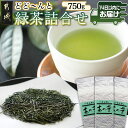 【ふるさと納税】どどーんと緑茶詰合せセット 750g(250g×3袋)≪みやこんじょ快速便≫ - 茶の葉 番茶 緑茶 斉光園 送料無料 LC-C304-R【宮崎県都城市は2年連続ふるさと納税日本一！】