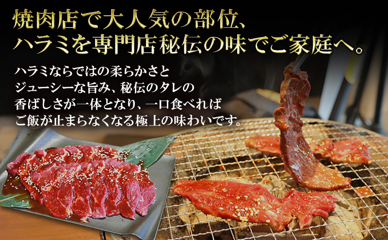 【3か月定期便】アメリカ産タレ漬け牛ハラミ　300g×2 | 牛肉 焼肉 焼き肉 アウトドア BBQ