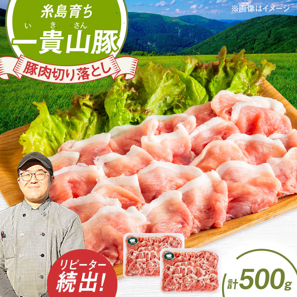 【ふるさと納税】一貴山豚 切り落とし 計500g(250g×2p) 糸島市 / いきさん牧場 豚肉 [AGB056] 6000円 6千円