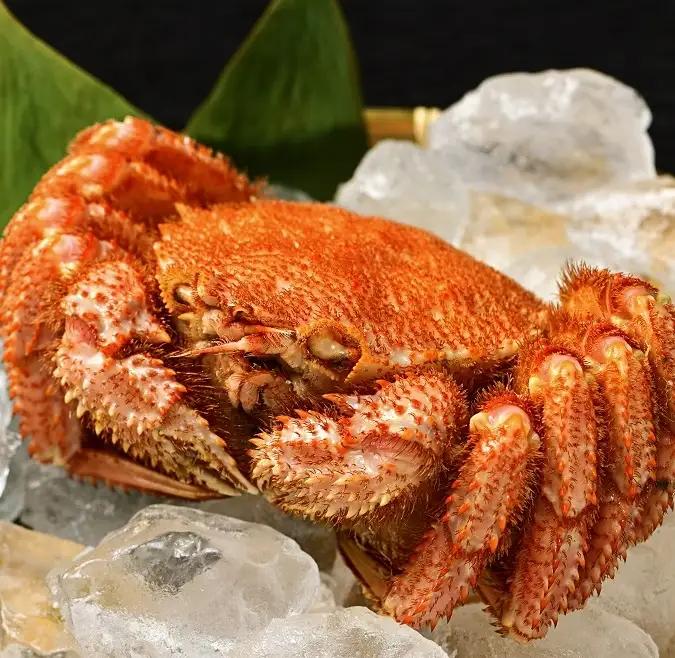 高評価5.0 活ゆで毛蟹 2尾で700～770g【冷蔵】カニ 毛ガニ 蟹 北海道かに 北海道カニ 国産カニ 蟹 かに 毛がに