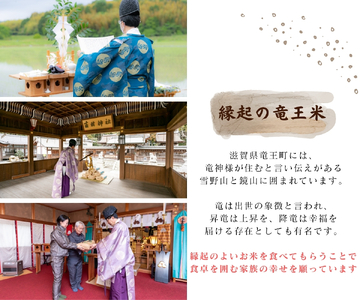 【 新米予約 】 【 数量限定 】 定期便 ミルキークイーン 無洗米 5kg × 3ヶ月 ( 令和7年産 先行予約 新米                                        