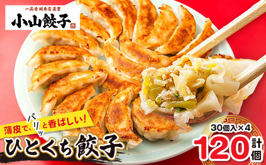 
冷凍餃子専門店 小山餃子 ひとくち餃子 120個【1259753】
