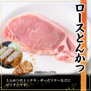 鹿児島県産豚肉ロースとんかつ(計1.6kg・100g×16P) 豚肉 ロース とんかつ【株式会社羽根】A722