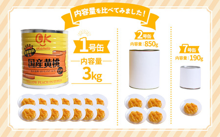 【順次発送】青森県産黄桃 6kg フルーツ缶詰 桃缶詰 もも