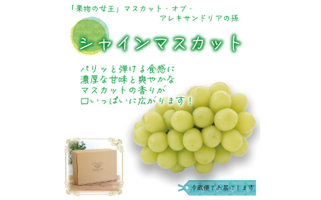 岡山　花笑み農園の『シャインマスカット』2kg(3～5房)優品　S-2優【2025年9月下旬～発送】【配送不可地域：離島】【1593497】