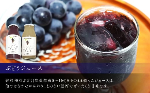 幸田町産 ぶどう使用(無添加、無糖、無加水)100% ジュース2本 ジャム(90g)4本 詰め合わせ ぶどうジュース ぶどうジャム_イメージ2