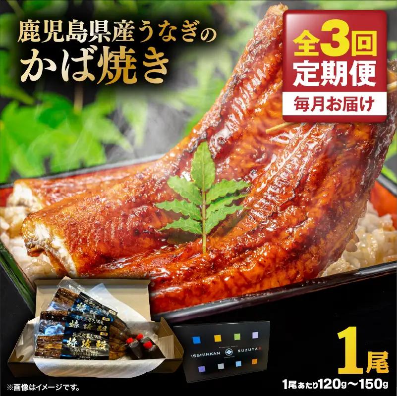 【 全3回 定期便 】 鹿児島県産 うなぎ の かば焼き 1尾 KN174-T01 定期 ウナギ 鰻 蒲焼き 冷凍