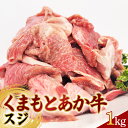 【ふるさと納税】くまもとあか牛 スジ 1kg 牛肉 冷凍 九州 熊本県 球磨村 FKP9-619