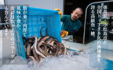 定期便 偶数月 3回 鱧 ハモ 切り身 1kg×3ヵ月  3kg 冷凍 国産 徳島県 魚介 天ぷら ※北海道・沖縄・離島への配送不可 ( 大人気鱧 人気鱧 絶品鱧 冷凍鱧 国産鱧 徳島県産鱧 徳島県鱧