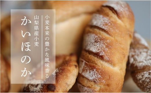 自家製酵母パンお試しセットⅡ（４種類４個）【パン工房 稔】｜天然酵母 食パン パン 菓子パン 詰合せ 詰め合わせ セット ギフト　お試し