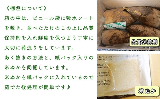 【先行受付】特選 生たけのこ 2kg予約 4月上旬発送 熊本県 南関町産 春 筍