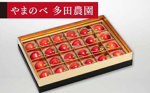 【ふるさと納税】《先行予約》2026年 山形県産 珠玉ダイアナブライト みやび箱詰24粒 やまのべ多田耕太郎のさくらんぼ 送料無料 F20A-043